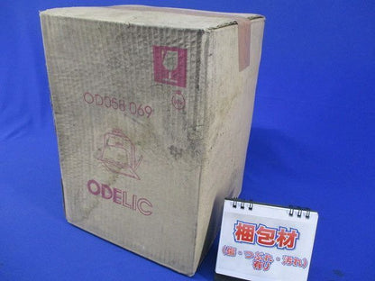 照明器具(ランプ付) OD058069