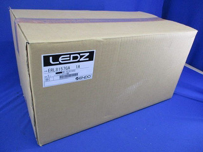 LEDアウトドアライト(頭部のみ) ERL8157GA1A