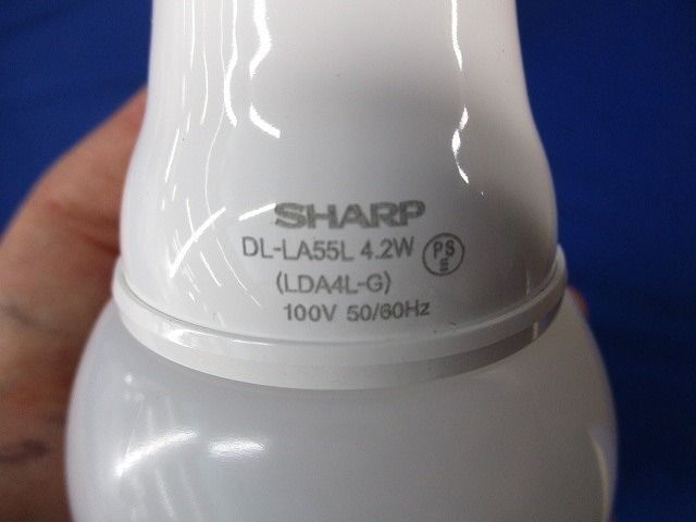 LEDアウトドアライト(頭部のみ) ERL8157GA1A