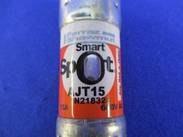 ヒューズ(10個入) AJT15