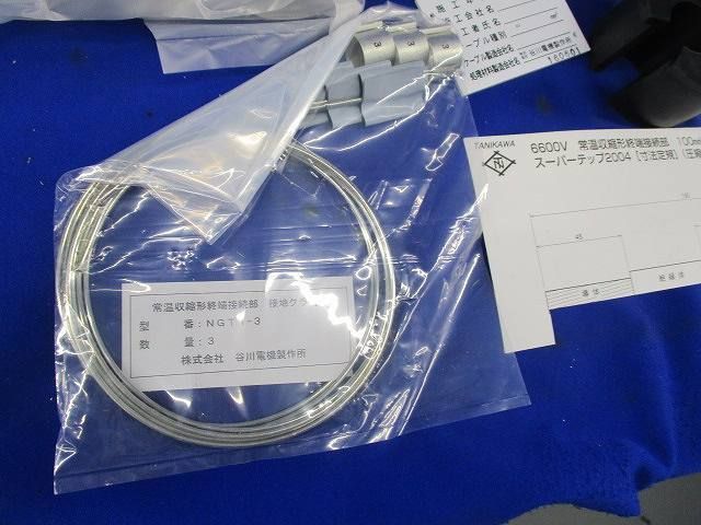 スーパーテップ2004 2004