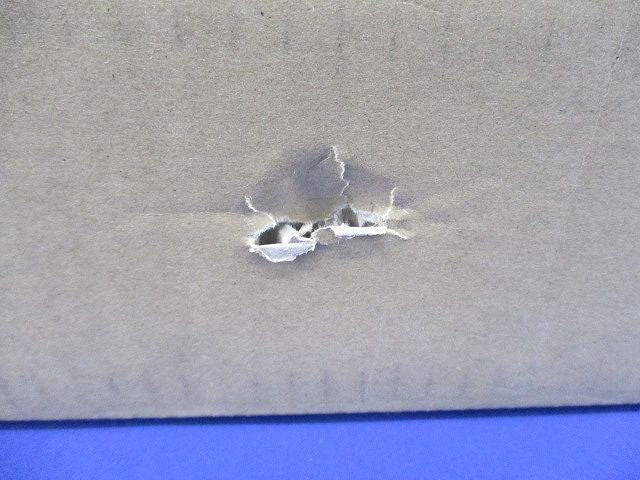 LED非常用照明器具 C131PA