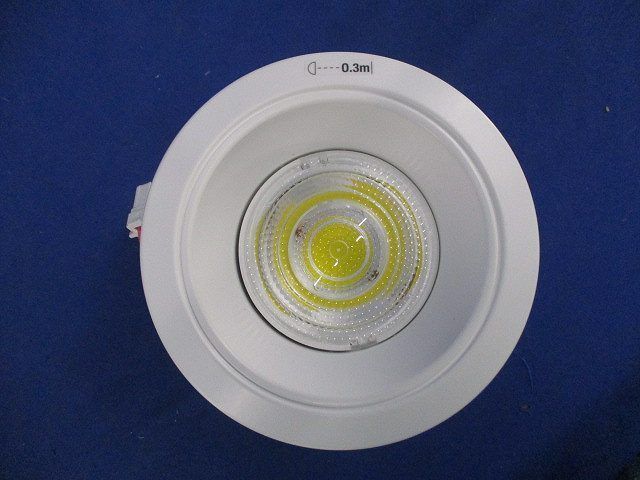 LEDダウンライトφ100(昼白色)(電源ユニット無し) NDN26300K