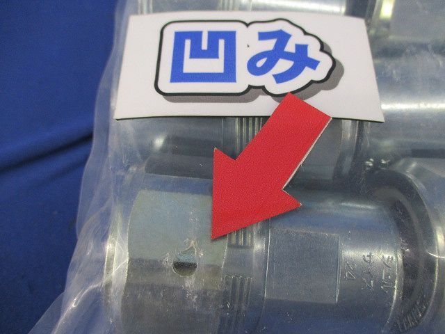 ケイグランド(１０個入) C2KD2824