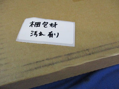 避難口誘導灯表示板(表示板のみ)(梱包材汚れ有) FK20088