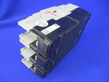 漏電遮断器3P150A EW250RAGU-3P150