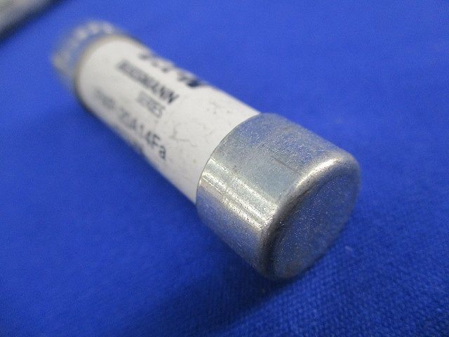 特殊ヒューズ(2個入) FWP-20A14Fa