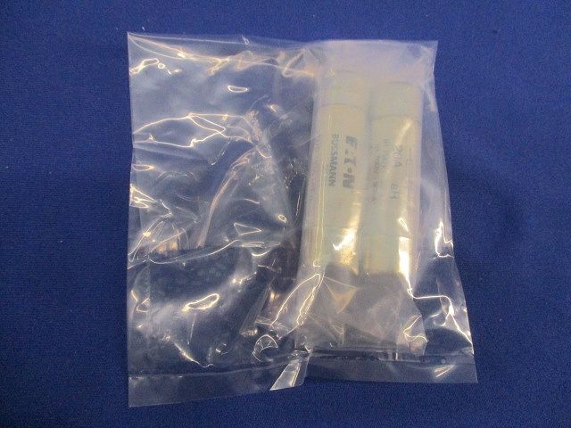 特殊ヒューズ(2個入) FWP-20A14Fa