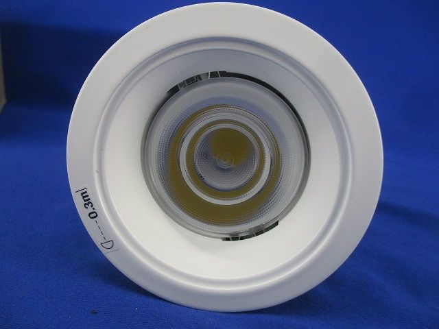 LEDダウンライトφ75 昼白色 電源ユニット別売 NDN28000W