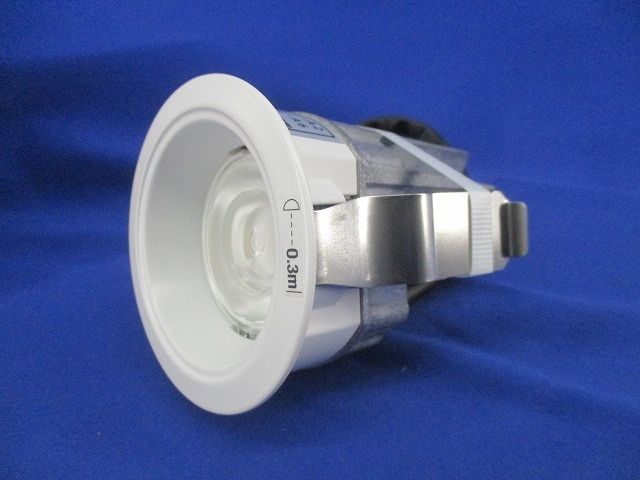 LEDダウンライトφ75 昼白色 電源ユニット別売 NDN28000W