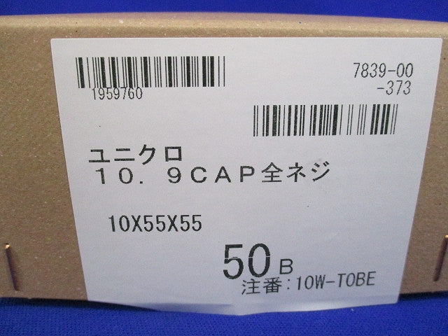 10.9CAP全ネジ 10×55×55(ユニクロ)(50本入) 型番不明