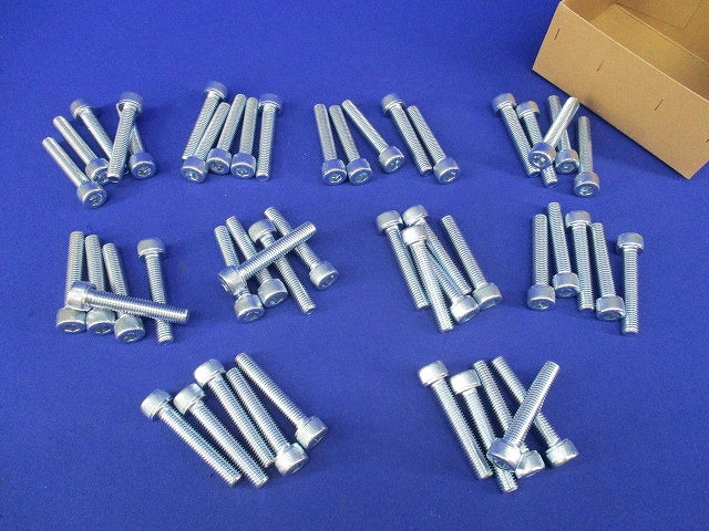 10.9CAP全ネジ 10×55×55(ユニクロ)(50本入) 型番不明