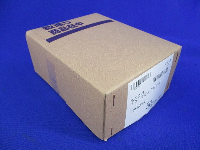 10.9CAP全ネジ 10×55×55(ユニクロ)(50本入) 型番不明