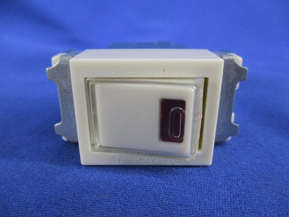 埋込パイロットスイッチB(2個入) WN5241