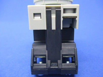パイロットライト APW116DG