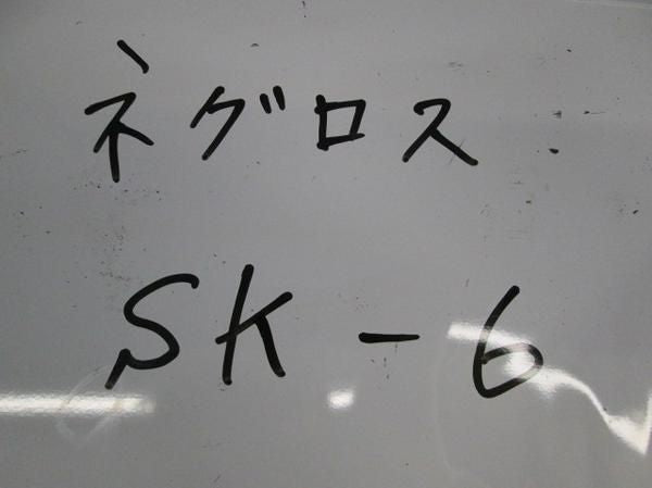 サキラックインサート(100個入) SK-6