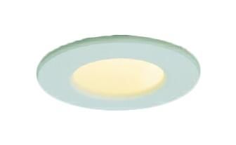 三菱電機 施設照明 病院・福祉施設用 LED常夜灯 電球色φ40 100V用 LDD10002