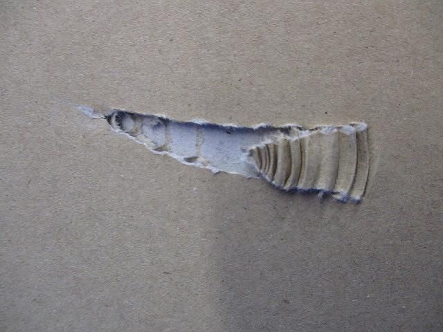 ダウンライトφ100(ランプ付) LEDD-18003-LS9