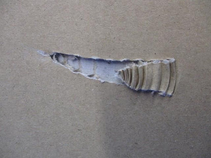 ダウンライトφ100(ランプ付) LEDD-18003-LS9