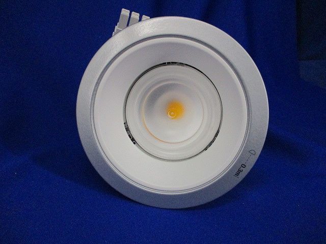 LED照明器具φ100(指定色塗装品)シルバーメタリック艶消 NDNH27307W