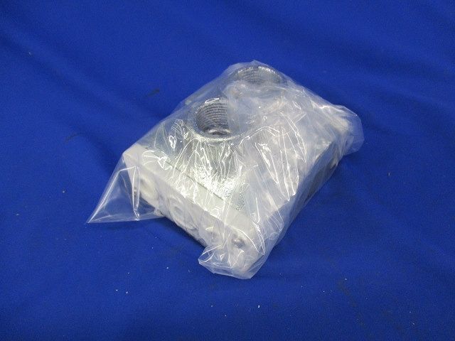 ターミナルキャップ(2個入)亜鉛 22