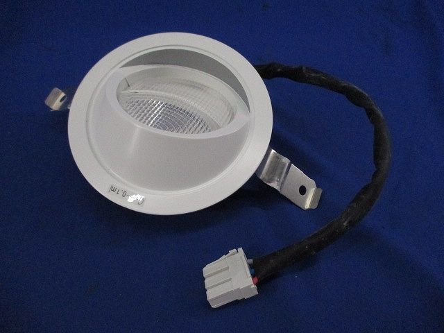 LEDダウンライト Panasonic NTS71241S