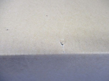 LED照明器具(白色) EL-WD00/2(100WM)