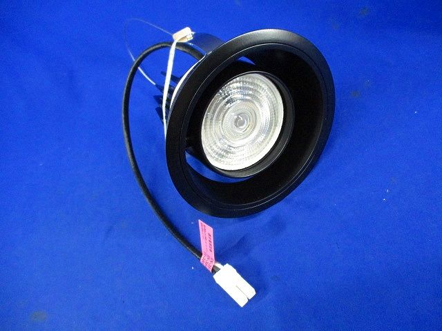 LEDダウンライトφ125(黒)(加工品 全黒塗装) ERD6656W