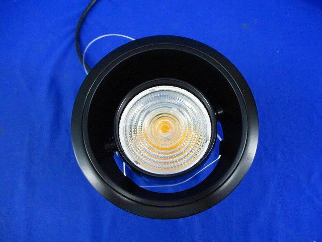 LEDダウンライトφ125(黒)(加工品 全黒塗装) ERD6656W