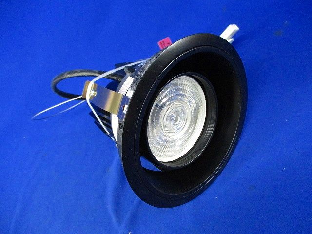 LEDダウンライトφ125(黒)(加工品 全黒塗装) ERD6656W
