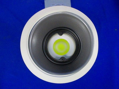 LEDダウンライトφ125(昼白色) Panasonic NYY16965LE9