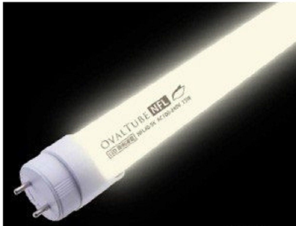 LEDランプ 昼白色 両側給電 電源内蔵 NFL20-5K